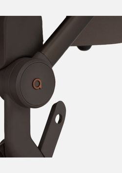 Anex Детская коляска Flo 2 в 1 Browny