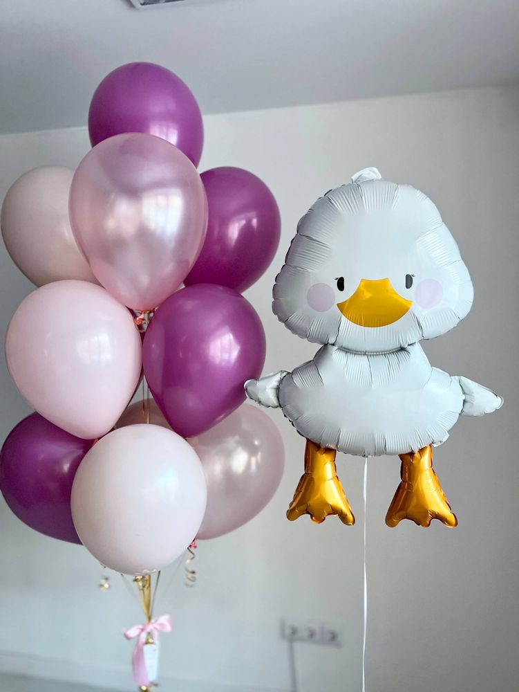 Воздушные шары Гусь обнимусь розовый/архидея №4135