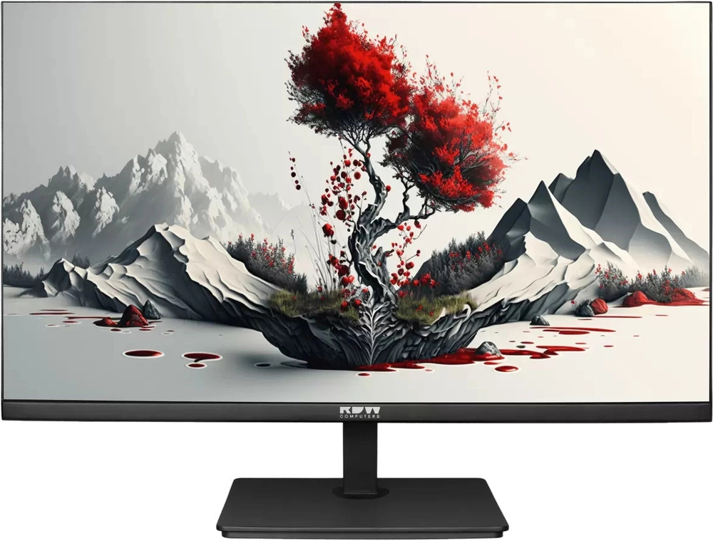 Монитор 23,8" RDW Computers 2401K/F00В3120V2A1