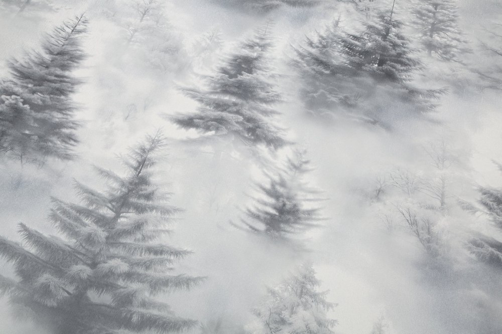 Palitra 1,06 м 72551-44