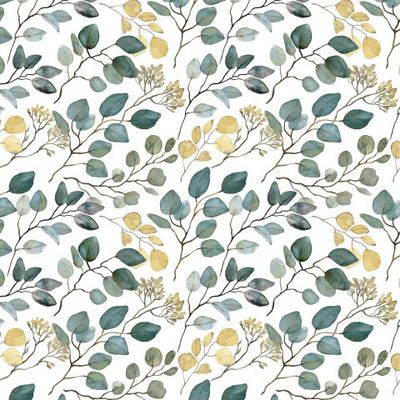 Веточки эвкалипта