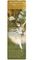 Əlfəcin \ Закладки \ Bookmark  Expressionism &quot;The star&quot;