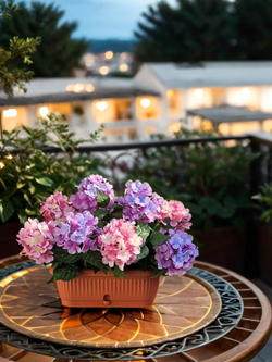 Искусственные цветы Гортензия розово-лиловая 40см в балконном ящике