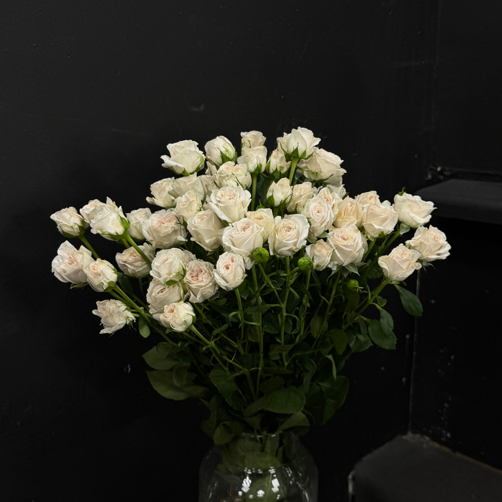 Роза кустовая birds song 60 см / 1 шт