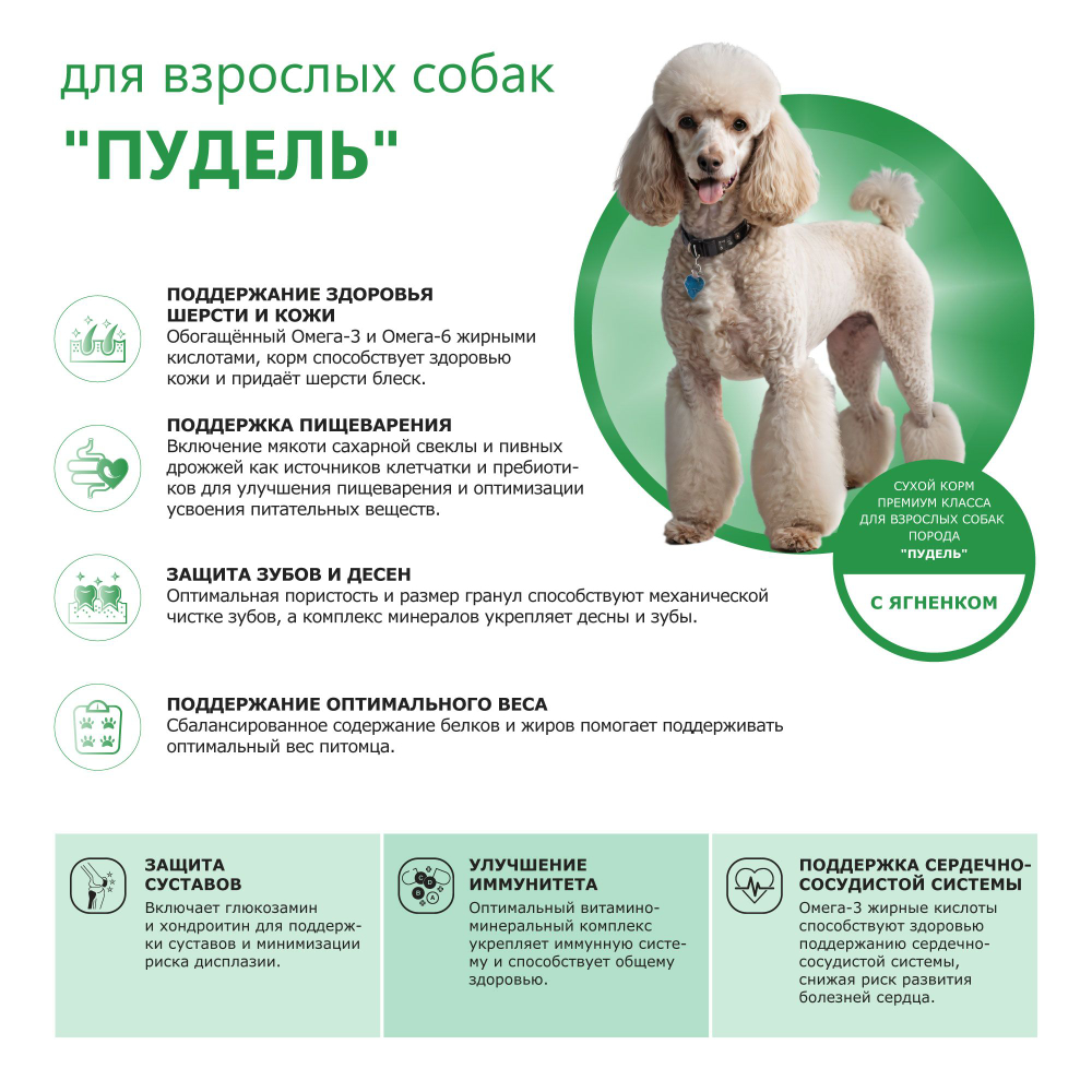 Корм сухой для взрослых собак породы Пудель, с ягненком, 12 кг, QUATTRO
