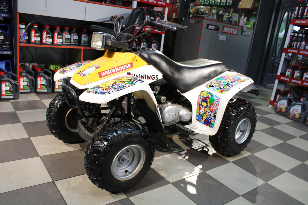 Квадроцикл Yamaha YFM100 2000