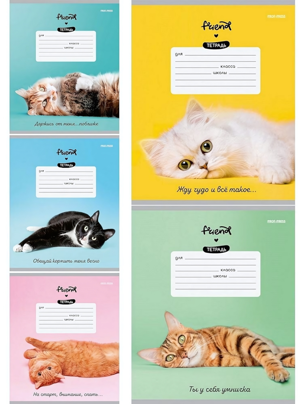 Тетрадь А5 12л. косая линия "Котики и фразы" мелов.облистер 5 дизаинов (Проф-Пресс)