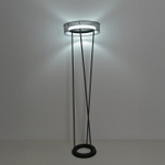 Торшер Lumion LEDIO 8370/30FL