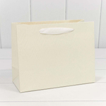 Пакет подарочный 23х18х10см Премиум "Элегант" (Белый)