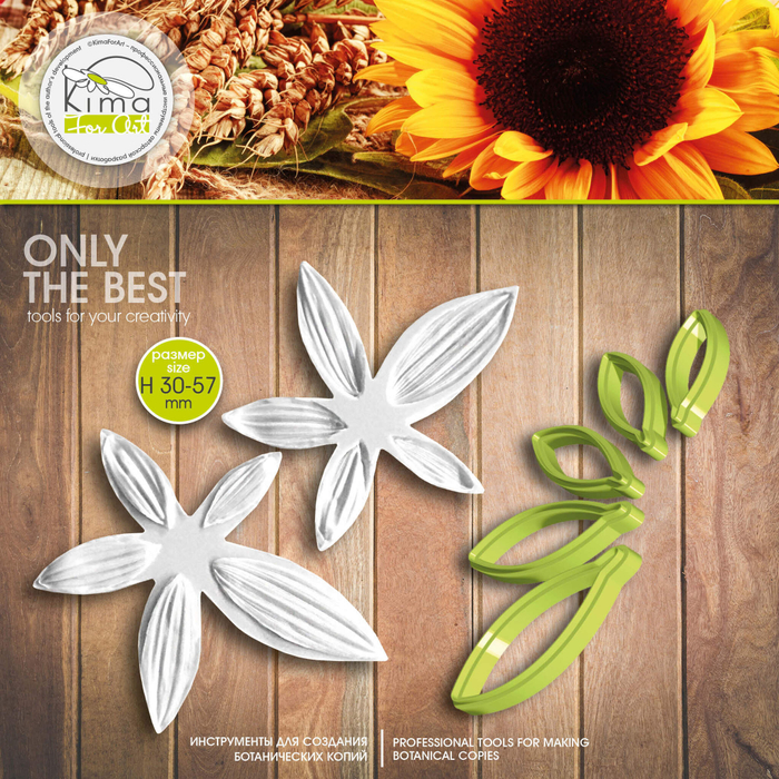 Подсолнух лепестки