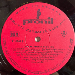 Винтажная виниловая пластинка LP Slawa Przybylska Слава Пшибыльская, Sings Hits (Польша 1973)