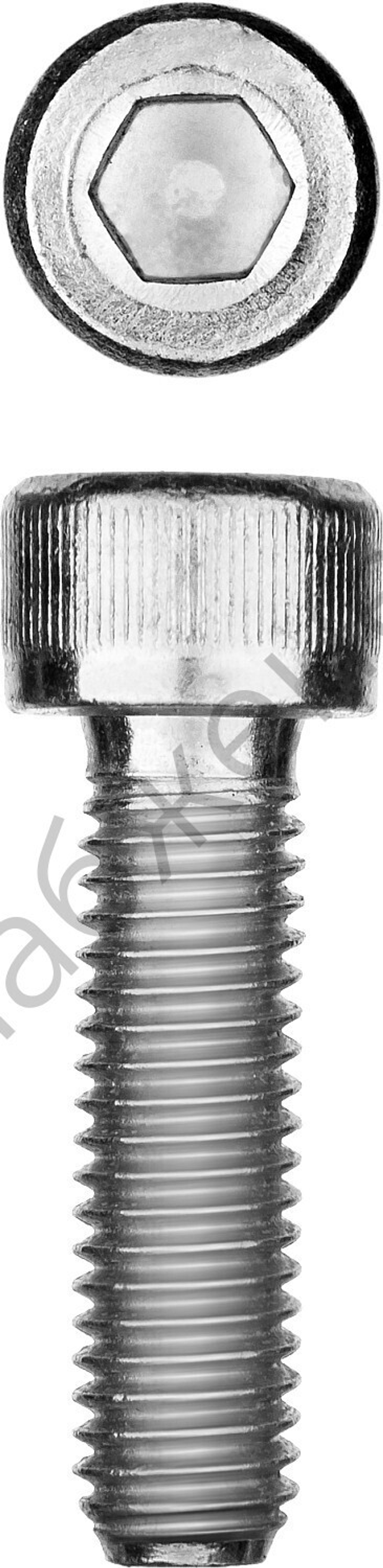 ЗУБР DIN 912 кл. пр. 8.8, М10 x 25 мм, винт свнутренним шестигранником, цинк, 5 кг, Профессионал (30318-10-025)