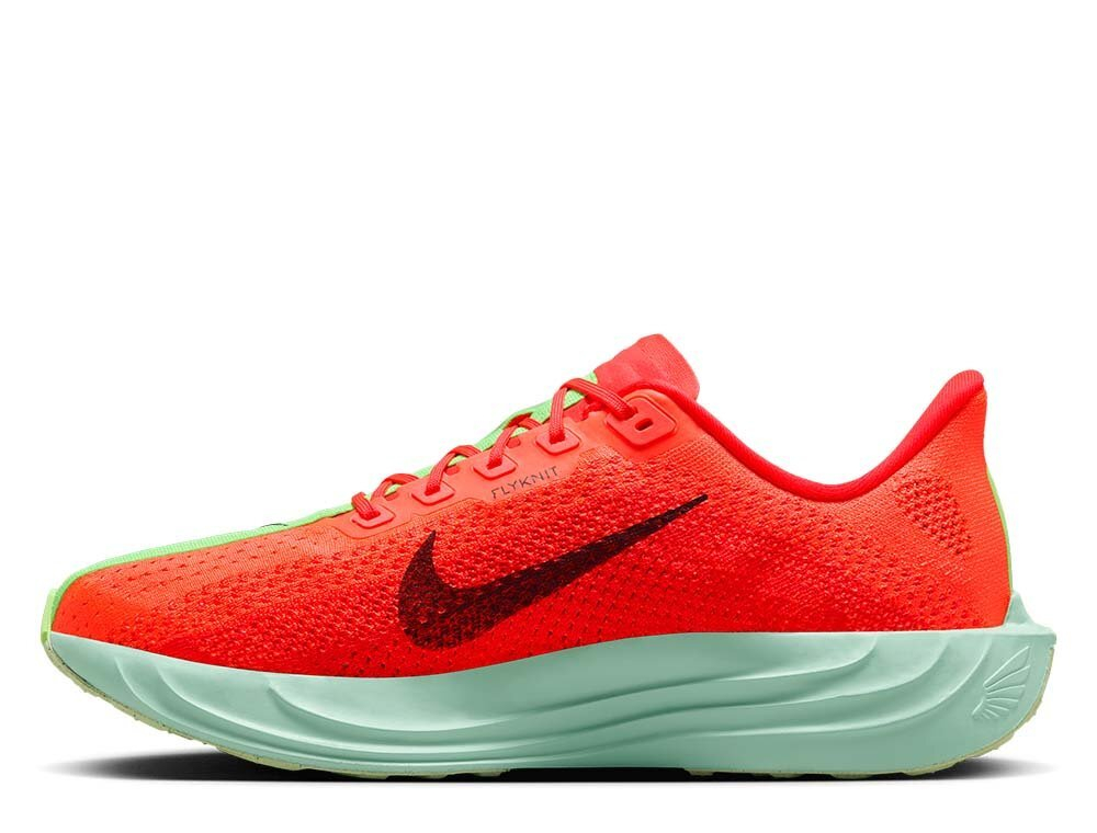 Кроссовки для бега мужские Nike Pegasus Plus M Красно-Зеленые
