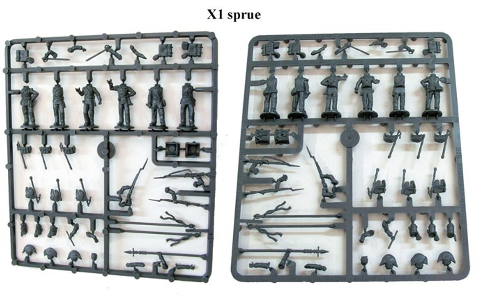 British Napoleonic Infantry