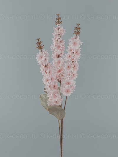 Дельфиниум трехголовый