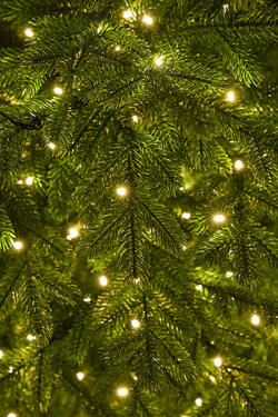 Ель искусственная с лампочками Ливадийская ELITE (лампочки - капля росы)