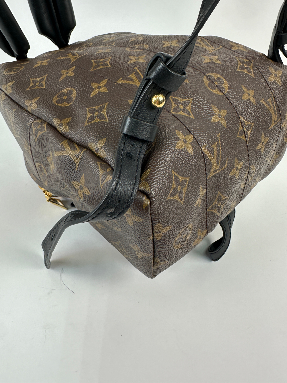 Рюкзак Louis Vuitton Palm Springs Mini