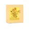 Hədiyyə paketi\ подарочный пакет \  gift bag Van Gogh yellow