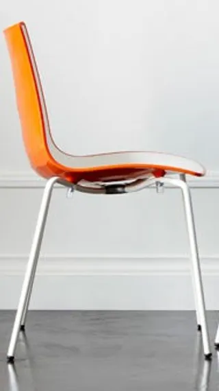 Zebra Bicolore 4 legs