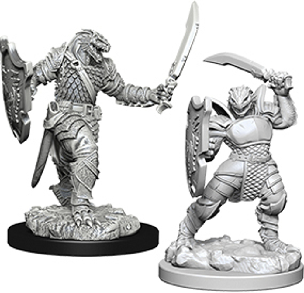 D&D Nolzur's Marvelous Miniatures - Dragonborn Female Paladin