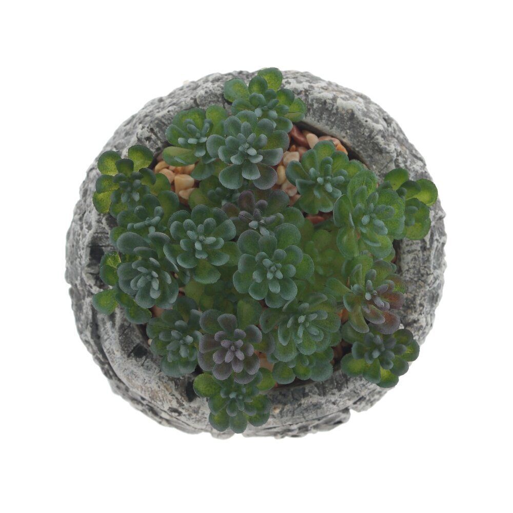 GAEM Цветочная композиция "Суккулент", L11 W11 H12 см