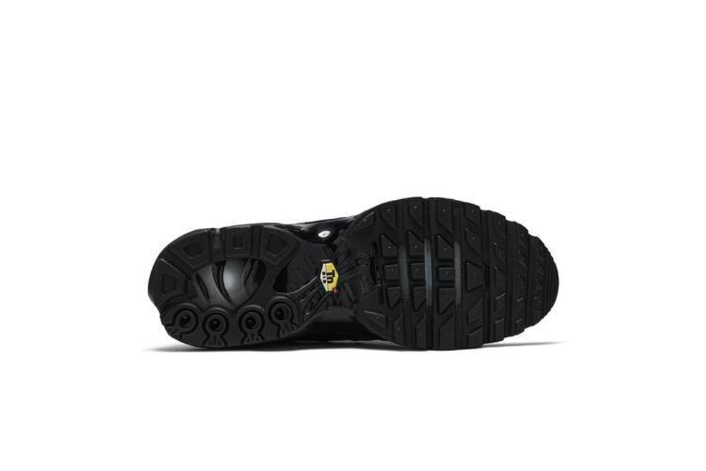 Кроссовки Nike Air Max Plus