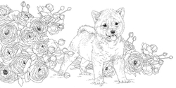 Gifts from animals Birth Moon Flower. Coloring Book