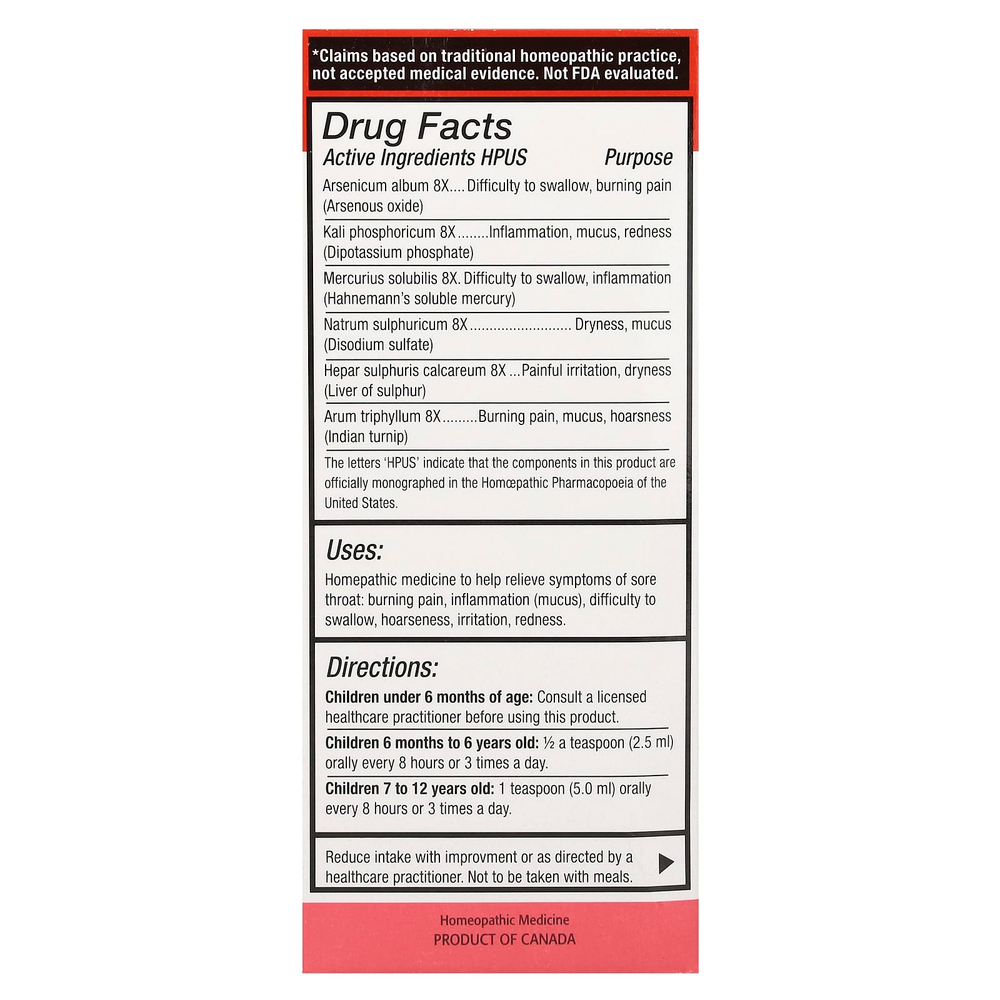 Homeolab USA, Kid's Relief®, сироп для облегчения горла, 0–12 лет, 100 мл (3,4 жидк. унц.)