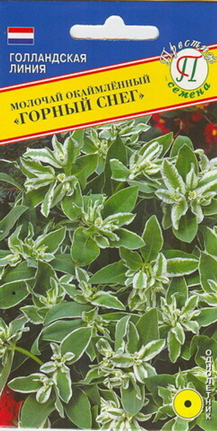 Молочай Горный снег окаймл. Престиж