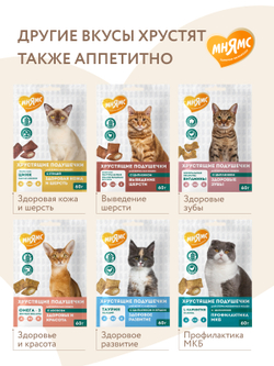 Лакомство Мнямс "Здоровье и активность" хрустящие подушечки для кошек с курицей 60 г.