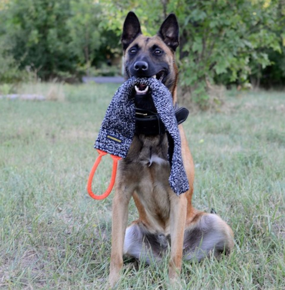 Кусалка-тряпка из спец.ткани Fordogtrainers