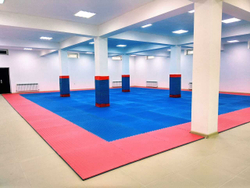 Будо-мат (татами) односторонний (1 плита 100x100x4см, 1кв.м./уп)