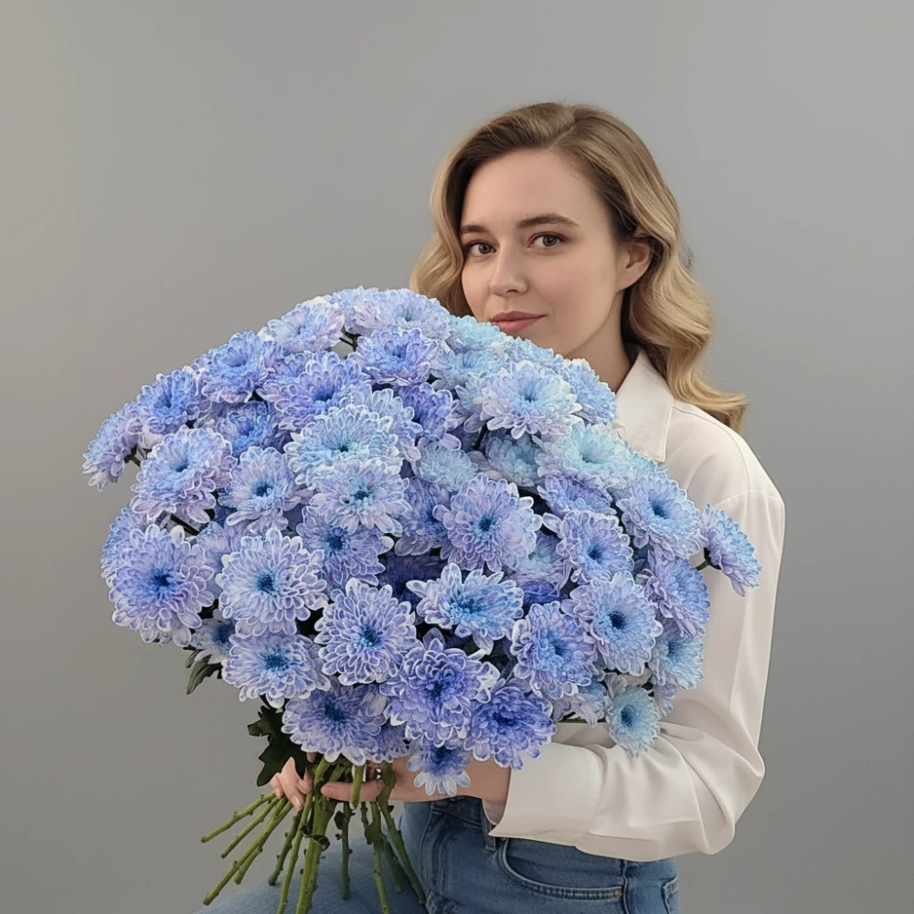 Лазурная кустовая хризантема в монобукете.