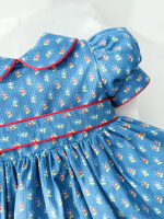 Шарлотта Синее с красным кантом