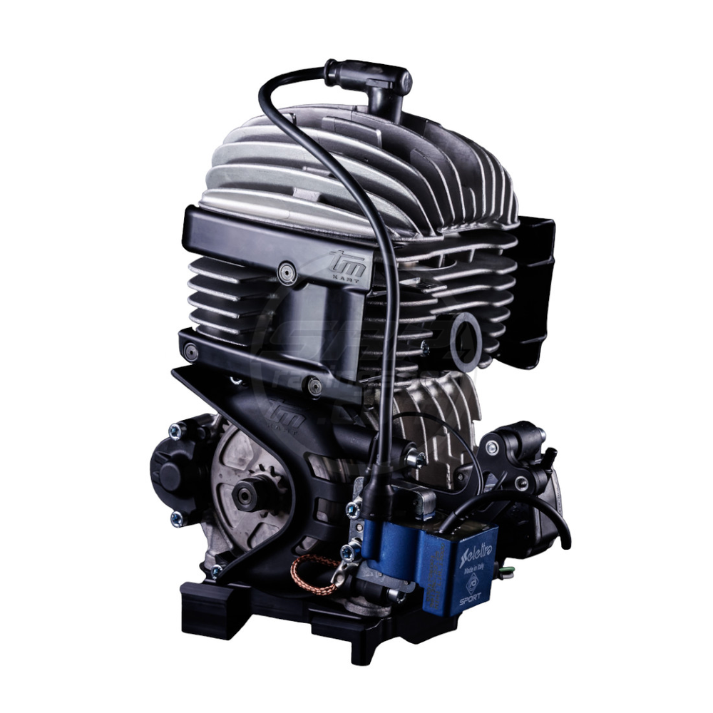 Мотор TM Mini4 60cc Selettra