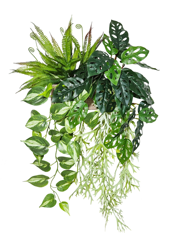 Ампельная зелень в деревянном настенном кашпо