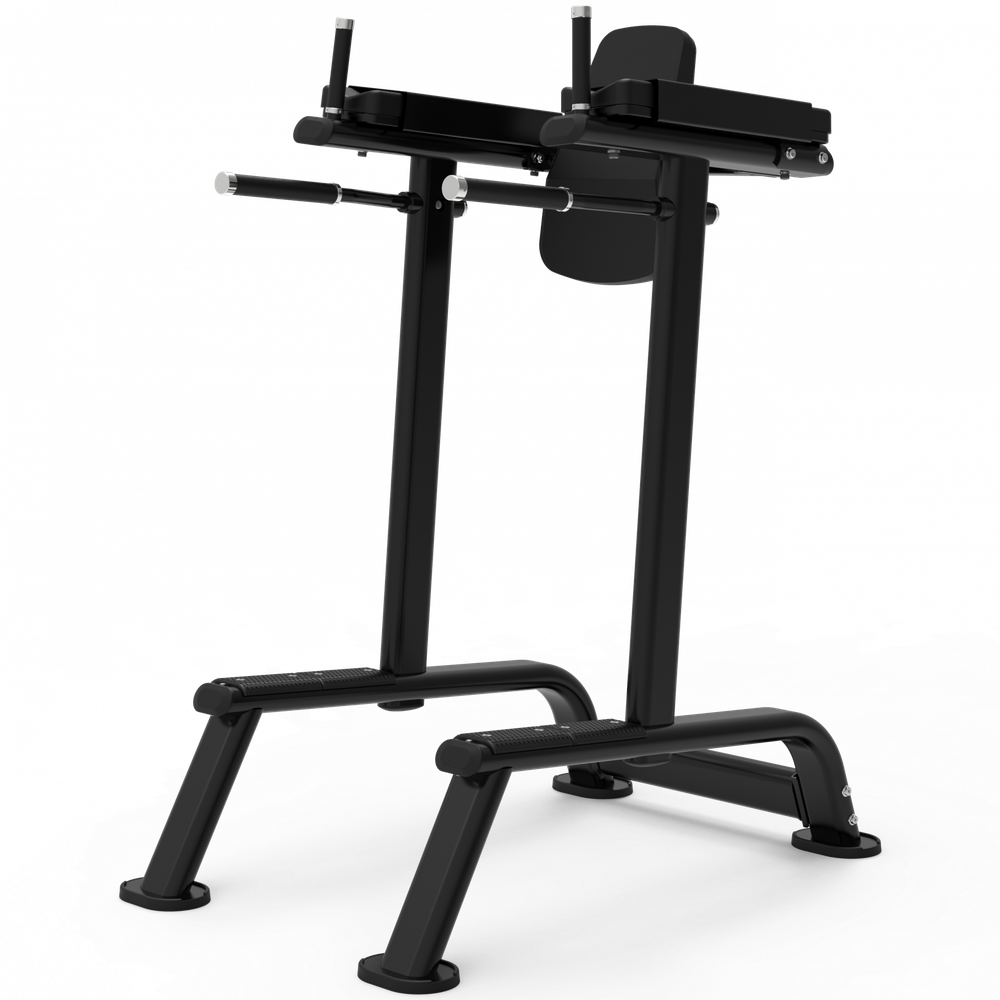 Impulse ITF8701 поднятие коленей / брусья