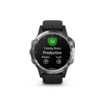Смарт-часы Garmin Fenix 5 Plus, серебристый, 010-01988-17