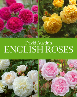 David Austin's English Roses
