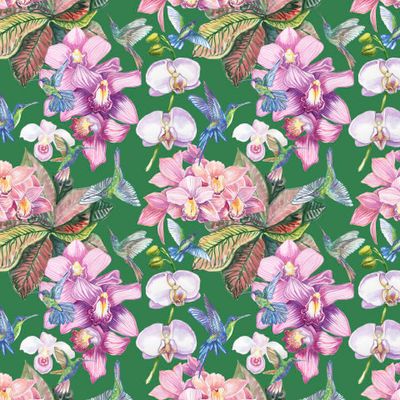 орхидеи и колибри