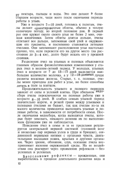 Разведение и содержание пчел в Сибири | В.С. Коптев