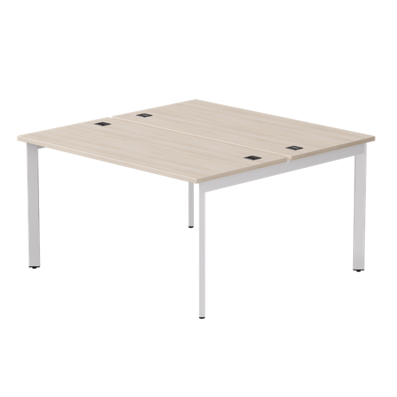 Бенч-система на 2 места Everprof EVO на металлокаркасе 1380х670(1370)x755 опоры 45гр