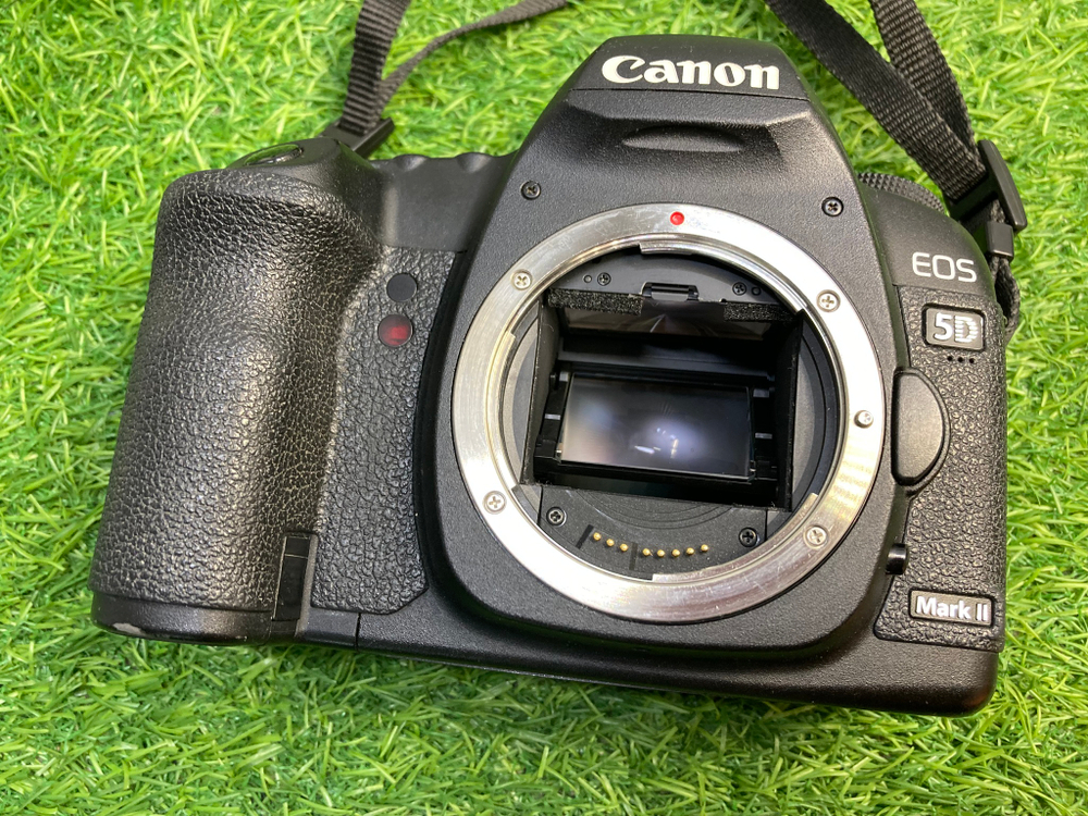 Canon EOS 5D Mark II Покупка/Продажа