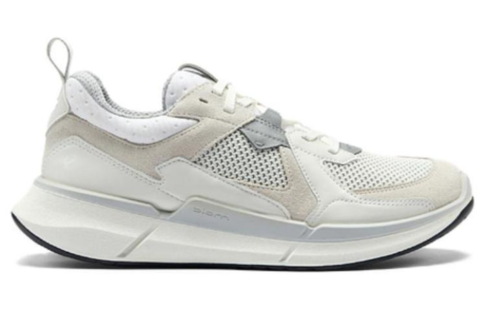Ecco Biom 2 2