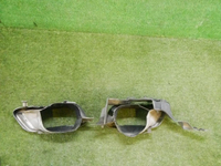 Насадка глушителя BMW X5 G05 (18-23) M-paket