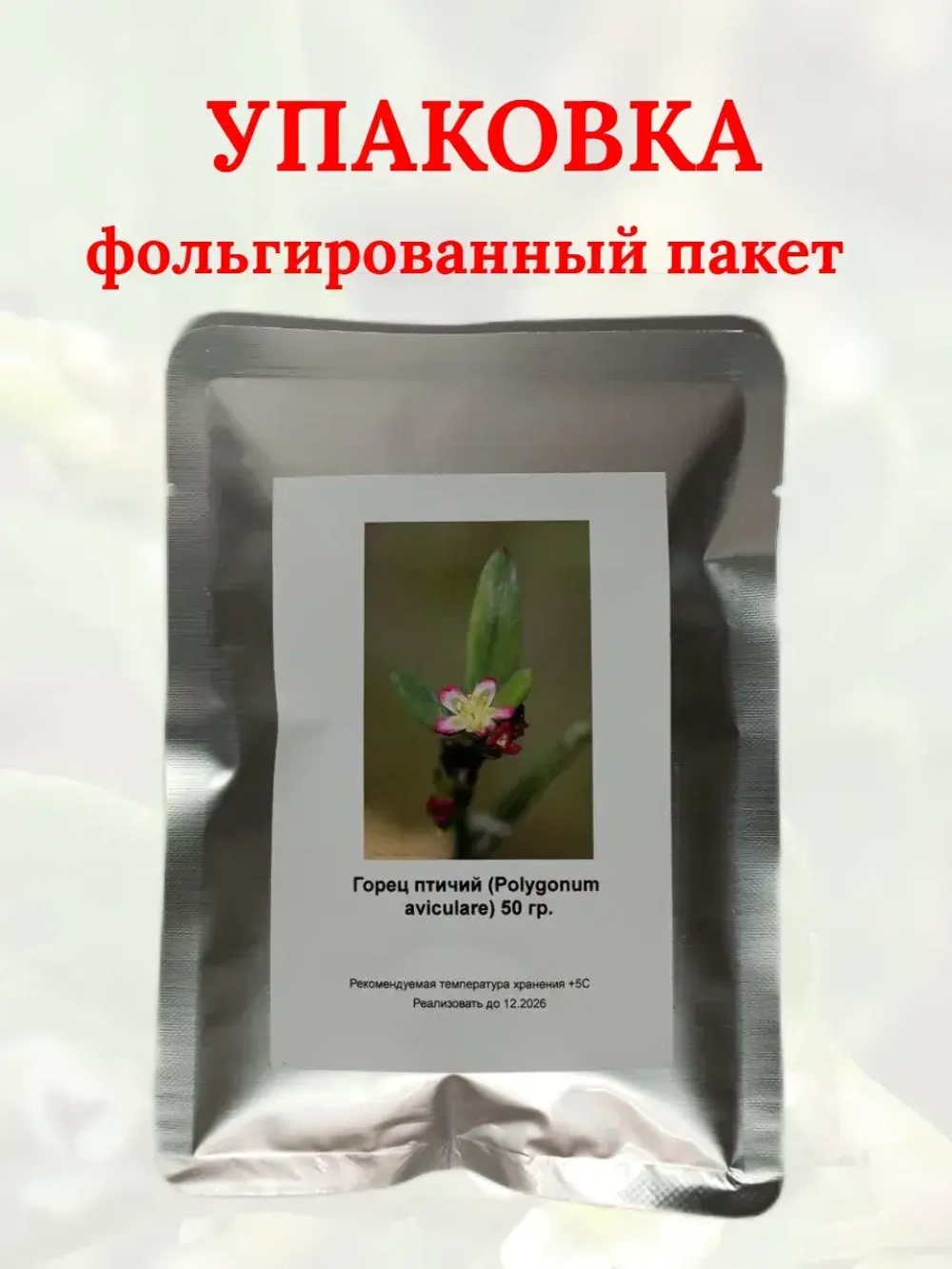 Семена Горец птичий (Polygonum aviculare) (Спорыш)