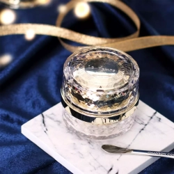 CHANSON COSMETICS Питательный ночной крем для лица Шансон Косметикс Лё Там-Le Temps Cream. 30 г