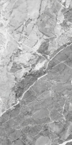 Сильвер Грэй