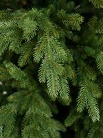 Искусственная ель «Берген» (Литая хвоя) 240 см / 2.4 м