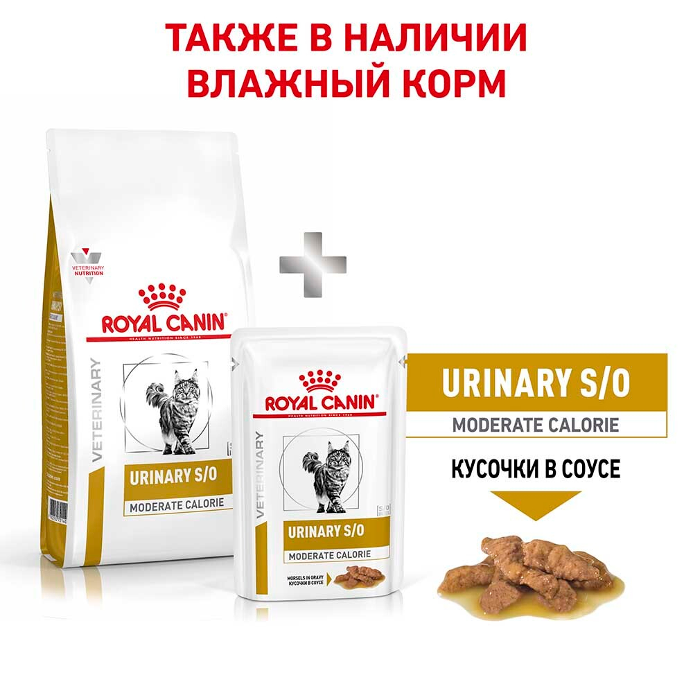 Royal Canin VET Urinary S/O Moderate Calorie - диета для кошек профилактика и лечение МКБ (для склонных к полноте)